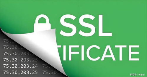 2025年济南网站建设公司推荐