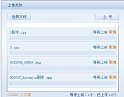 网络网站资深服务商的批量商品添加及国外空间租用服务详解